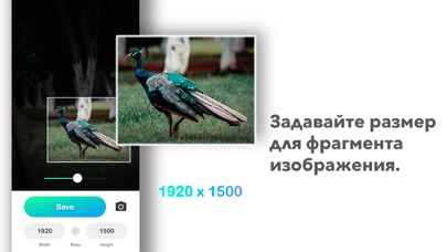 Скриншот Resizable - Размер фото 2